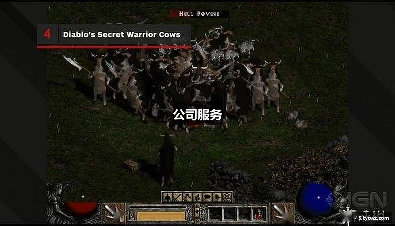 公司服务
